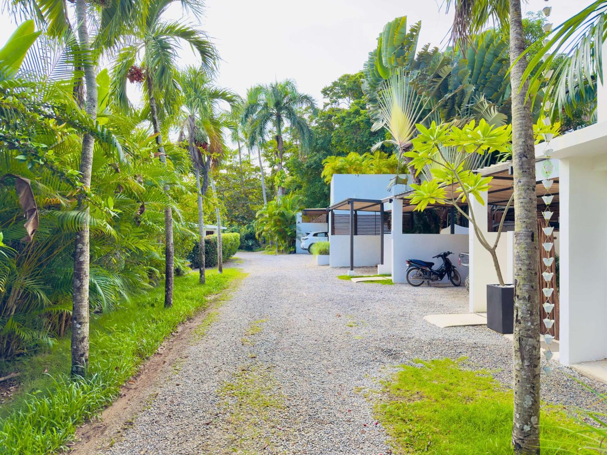 Soul Dream Bonita Apartment Las Terrenas Exterior photo