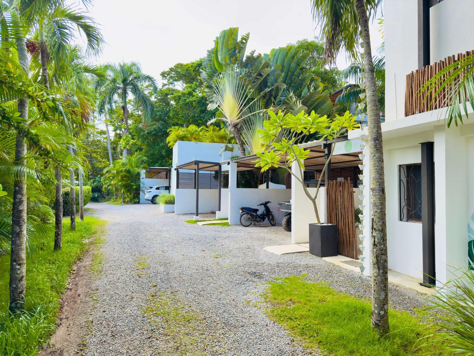 Soul Dream Bonita Apartment Las Terrenas Exterior photo